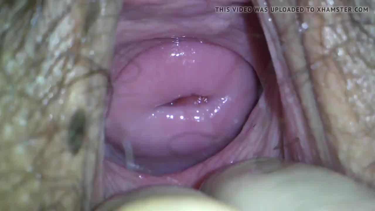 Hd Porn Video E