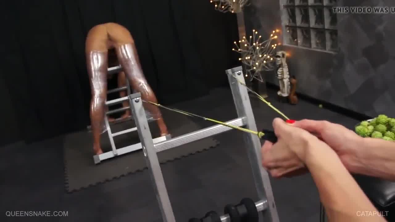 Queensnake Queensnake Domination Submission Up Porn Movie E Hotntubes