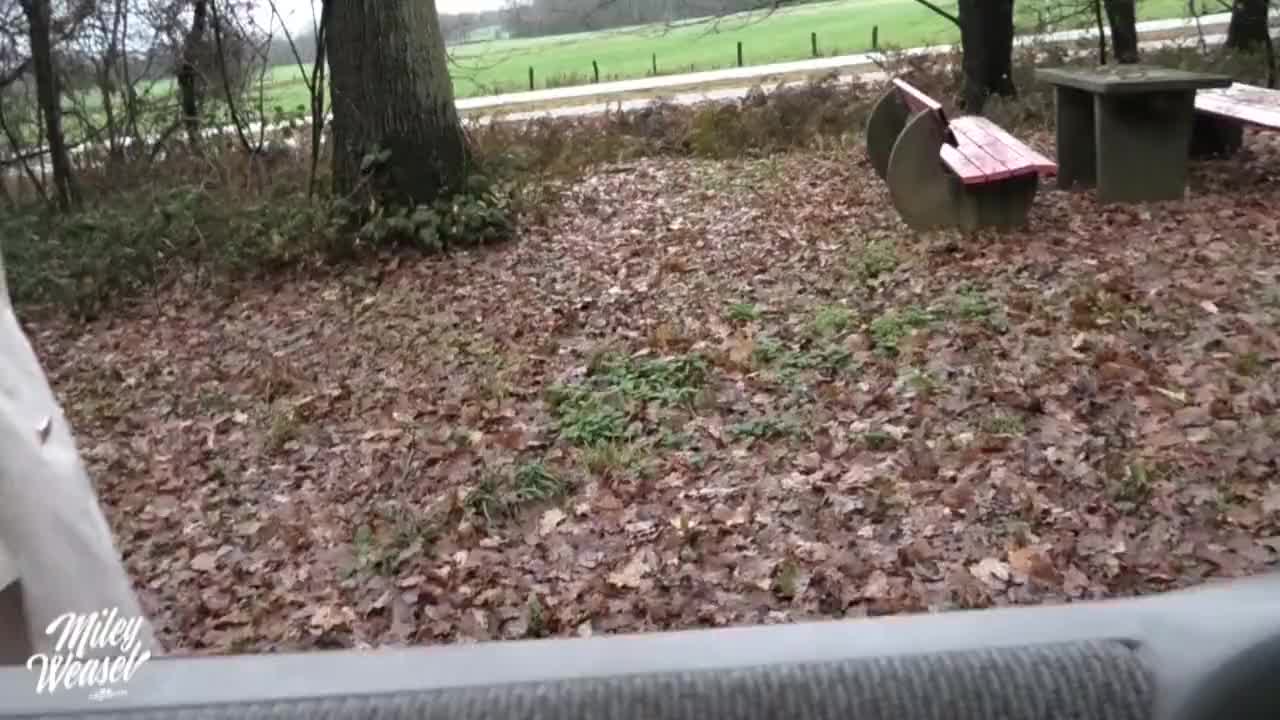 Fair Haired Fledgling Miley Weasel Risky Society Sex In A Car Hotntubes