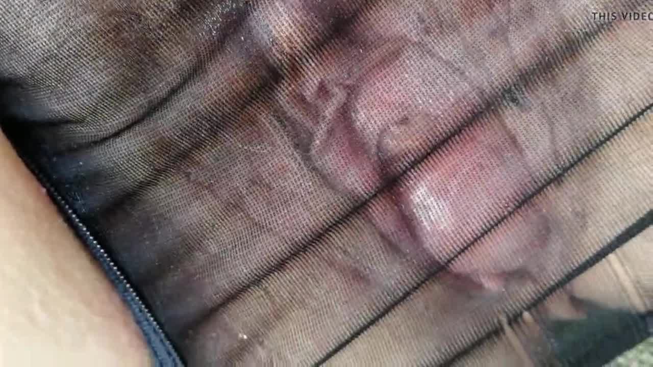 الهرة الهائلة Blackboyaddictionz Hd Porn Video Bf Xalabahia
