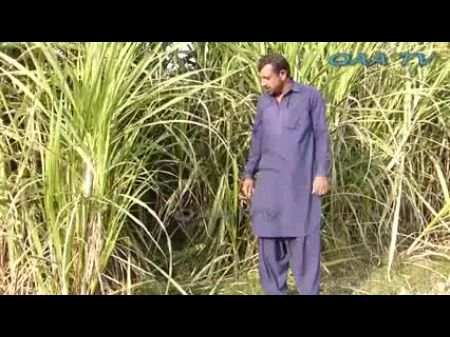 Village Life Billo Hote Video 