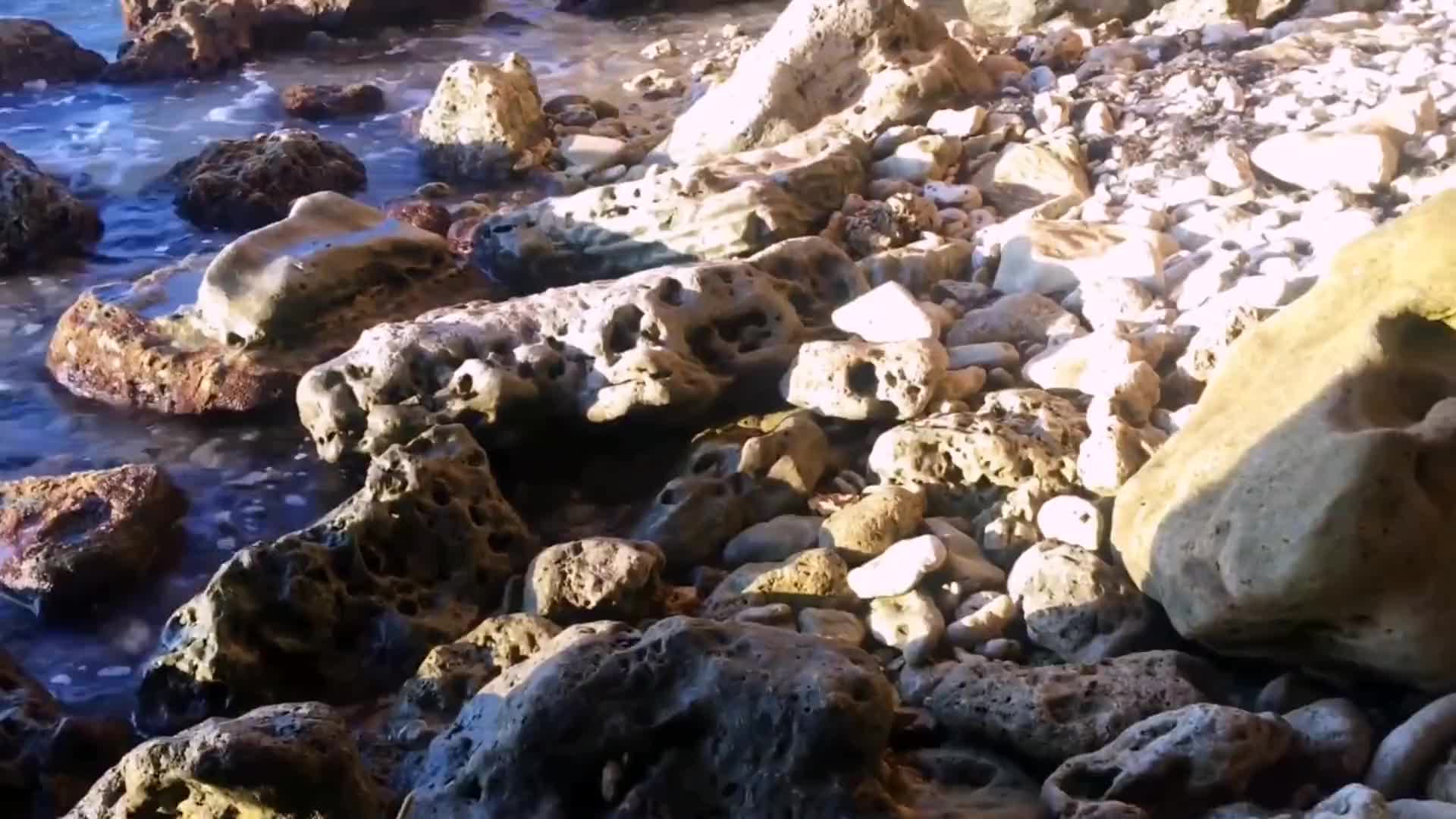 Risky Romp At The Nude Beach And Internal Cumshot In Shaggy Beaver Hotntubes
