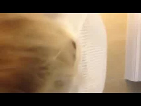 Джажительный член для спермы 