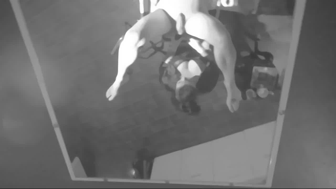 German Going Knuckle Deep Punch Going Knuckle Deep Anal Wide Open Hotntubes