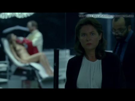 Знаменитости