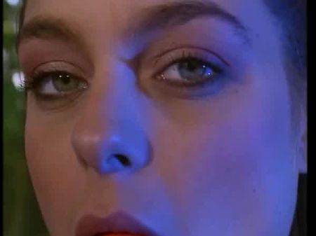 Lady Vices (1991) Полный фильм 