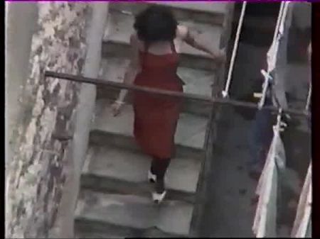 Le Petit Poissonnier 