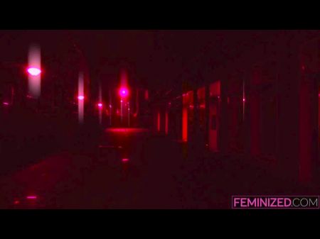 Feminized Training: Clips4sale Hd Porn Videotape B6