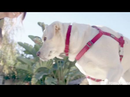 Manuel Ferrara - Autumn Falls 18 Year Old Sexy Little