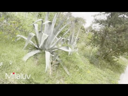 A beleza peituda recebe um creme de um estranho 