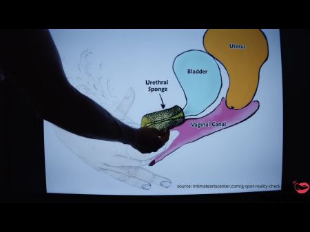 How To? ! Squirting Tutorial - Mr Pussylicking