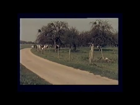 MNBR 36: HD -Porno -Video B5 