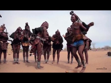 非洲人的Himba妇女跳舞并挥舞着他们的下垂山雀