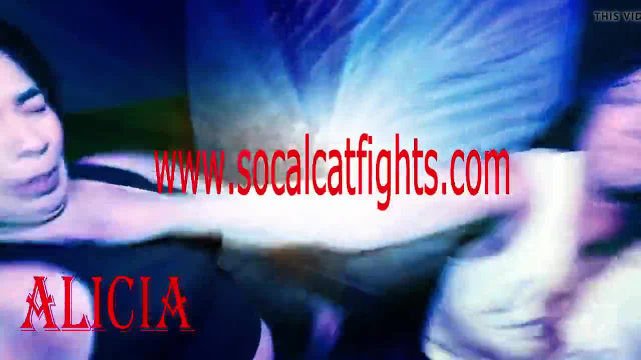 Wild suitefight action on full display