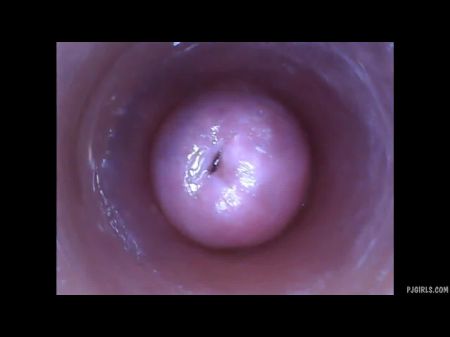 Vulvas Inside: Free Hd Porn Movie E2 -