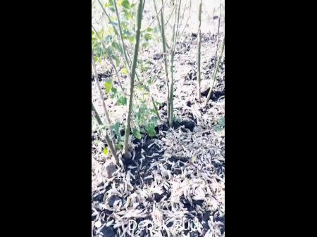 Marathi Devar Screws Pooja Bhabhi Ferociously In Cotton Cultivation Full Hd Vid