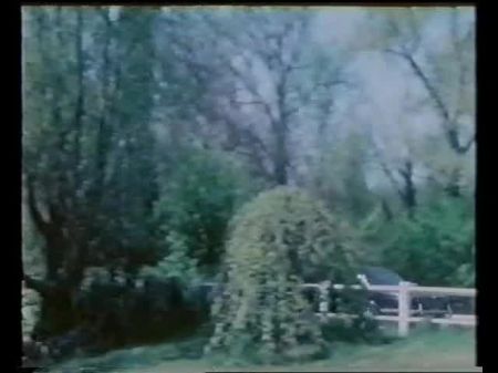 Furia Sexuelle 1978: Vídeo pornô grátis C5 