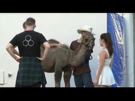Cameltoe Hommage: Kostenloses Porno Video F3 