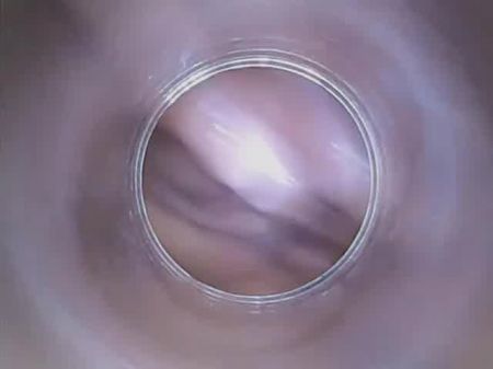 Dildocam - Dünne Brünette zeigt ihre trockene Vagina Cervix Deep 