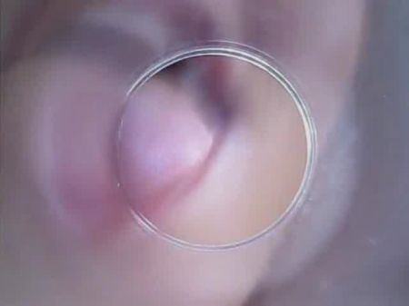 Dildocam – Thin Black-haired Displaying Her Dry Pussy Cervix Deep