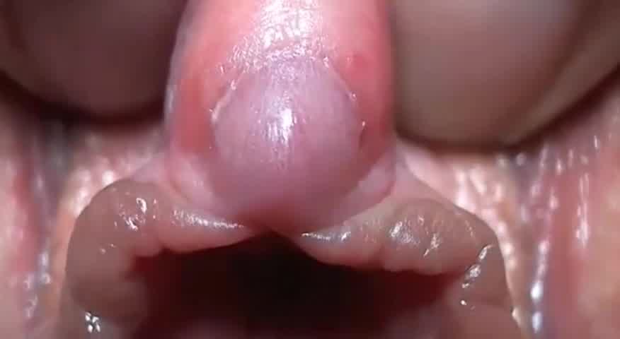B3 Xalabahia B3 Xalabahia