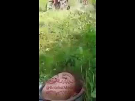 Dalam Semak: Free Pornography Movie 62 -