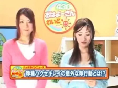 Japanese News Bukkake , Free Japanese Mobile Tube Pornography Flick