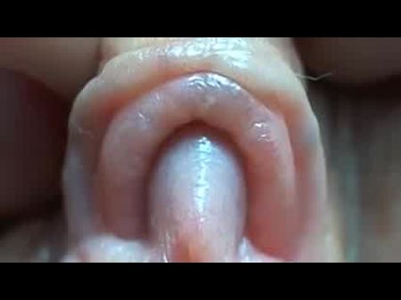 Clitoris Close Up: Free XXNXX Free Porn Video 3f 