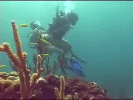 Подводное Плавание Порно Видео