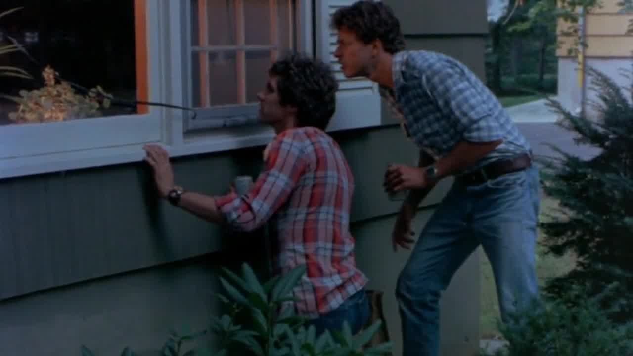 Schneeweißchen und rosenrot 1979 ansehen