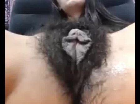 Mellow Very Hairy Gash With Lengthy Snatch , Porno 62