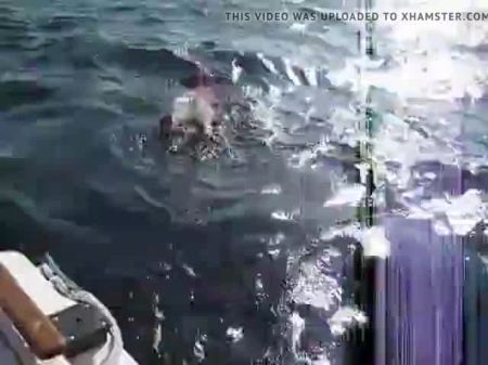 Пухлая женщина трахается на лодке, бесплатно бесплатно Xxx Новое порно видео 