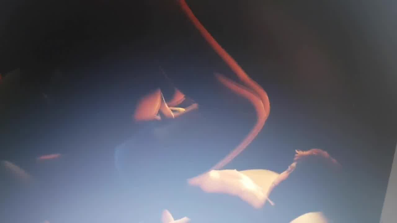 Youjiiz