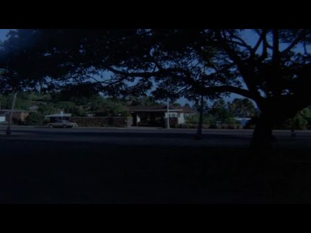 Oriental Hawaii 1985: Pichunter Hd Porn Movie 29