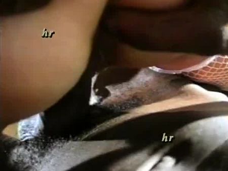 Two Naughty Fucky-fucky Vignettes From Intimate Videos , Porn 80
