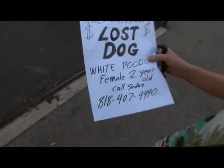 Blondie Doll Loses Her Dog But Not Her Doggystyle: Pornography 67