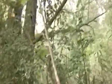 A Great White Haired Gal From Germany Pleasing A Rough Dick In The Forest