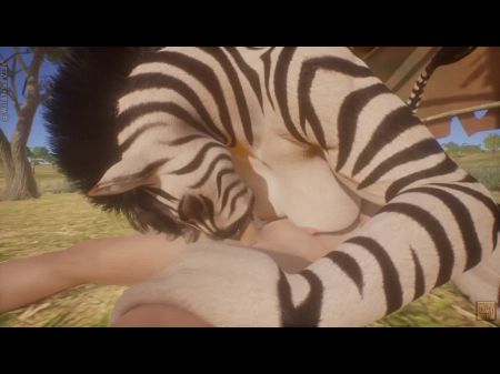 Safari Park With Insatiable Zebra Hairy Female
