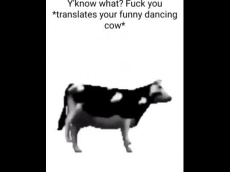 English Grind Cow Dancing (reprised By Me)