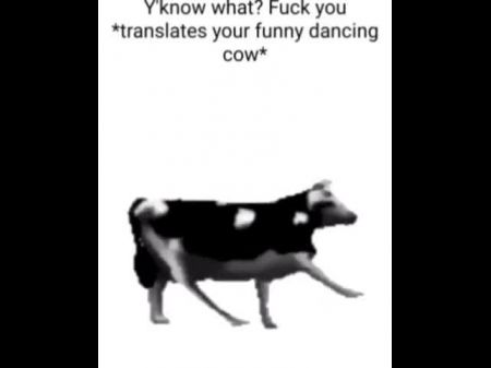 English Grind Cow Dancing (reprised By Me)