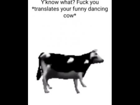 English Polish Cow Dancing (reprised By Me)