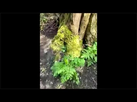 Jerking Off And Sucking Stranger In Woods Dogging