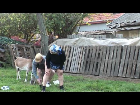 Verschiedener Künstler Hey, meine Oma ist eine Hure 21 