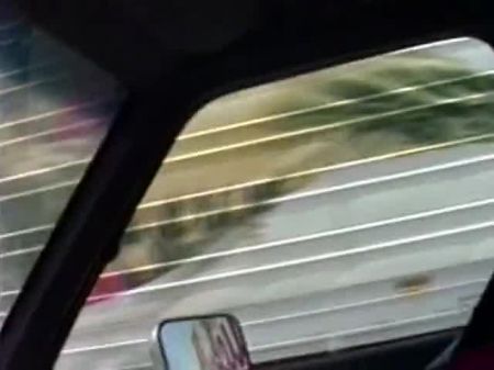 Flasher Wifey Presenting Truckers