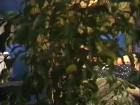 1991年私人场所Rachel Ryan和