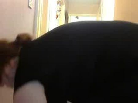 Ssbbw Huge Mega Backside