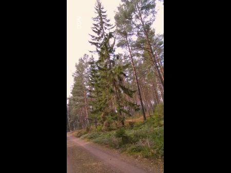 Fahren Sie mit dem Fahrrad + blinken für Züge, Tease 