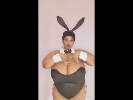 Brown Bunny