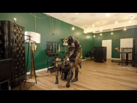 Rubber Horse Play: The Foal Got Saddled Up And Stroked By A Masturbating Machine