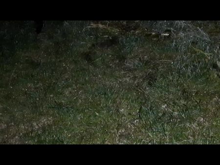 Zuerst behandelte ich das fremde Mädchen mit einer Zigarette und dann habe ich sie mit meiner Muschi -Lesben -Illusion verwöhnt 